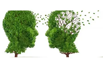 Alzheimer Hastalığına İyi Gelen Bitkiler
